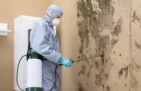 Best Mold Remediation for Healthcare Facilities  in Manitowoc, WI